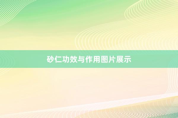 砂仁功效与作用图片展示